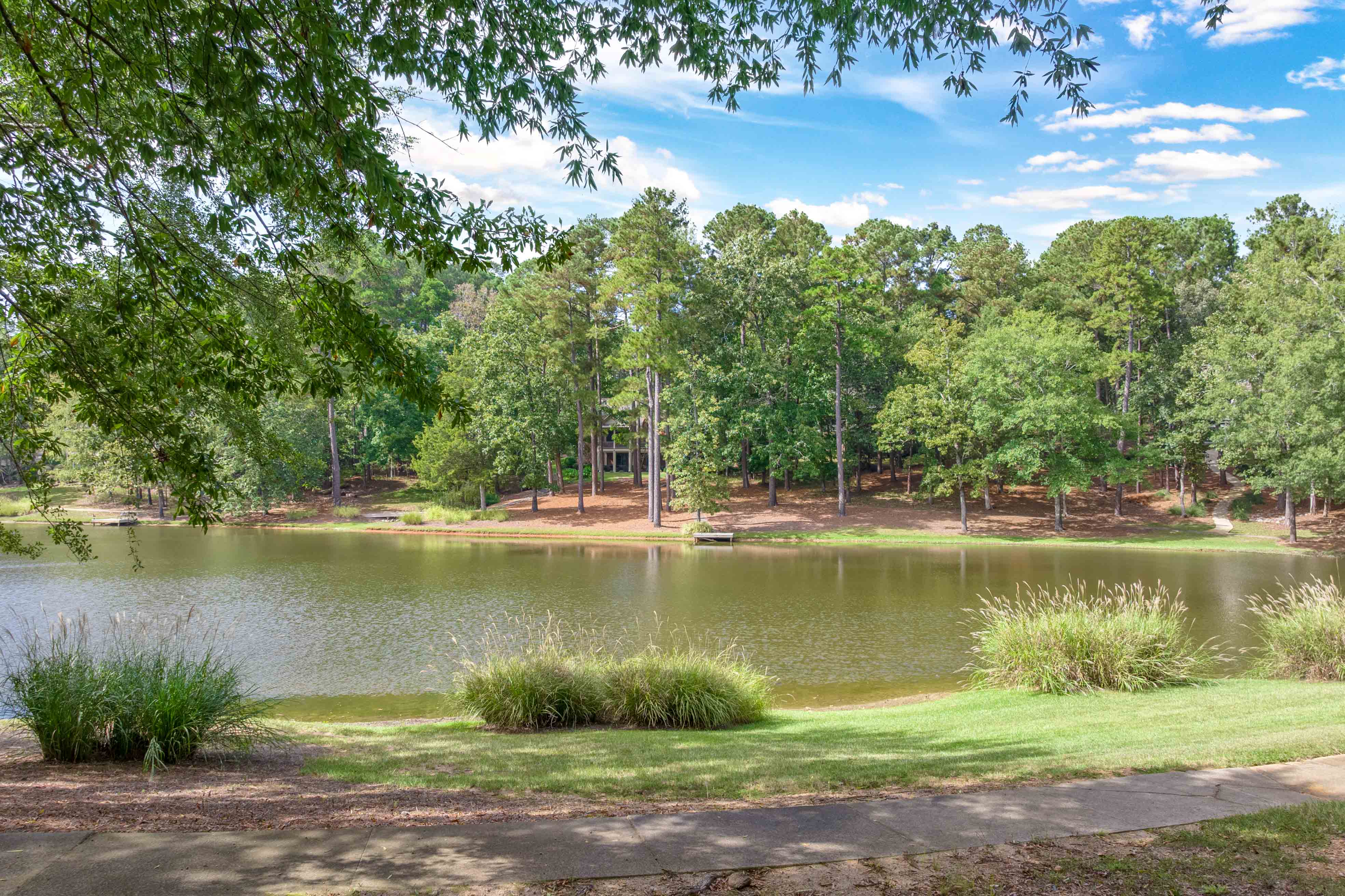 1011 Penfield Way image 53